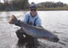 Classic Video: Miramichi Atlantic Salmon in Fall