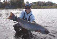 Classic Video: Miramichi Atlantic Salmon in Fall