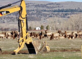 Why ‘Yellowstone’ Rancher John Dutton Says ‘Progress’ Is Destroying The Wild Rural West