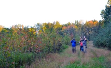 All The November Events In Monmouth County Parks