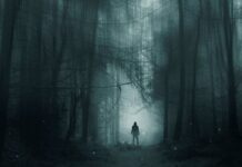 To Hear This Horror Story, You Have to Walk Through a Forest in Sweden