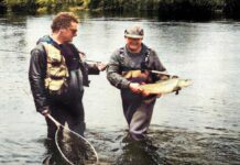 Foam Cicadas, Beetles, and Silicon Smelt Foam Cicadas