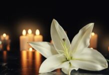 Retired, Beloved Teacher From Montco Who Led Wilderness Trips Dies