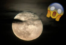 Scary Fishing Stories That Will Send Shivers Down Your Spine