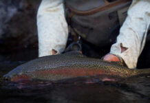 Video Pro Tips: 5 Tips for Euro-Nymphing Technical Tailwaters