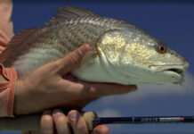 Classic Podcast: Fishing the Texas Coast for Redfish and Trout, with Dave Hayward