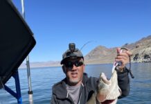 Denis Peirce: Time to Fish Pyramid Lake