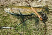 Good prospects await those starting the season