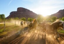 8 Luxury Ranch Retreats That’ll Give You the Ultimate Cowboy Vacation – Robb Report