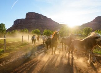 8 Luxury Ranch Retreats That’ll Give You the Ultimate Cowboy Vacation – Robb Report