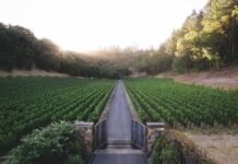 Tuck Beckstoffer ordered to refund winery for personal expenses