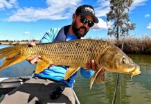Video Pro Tips: Fly-Fishing for Carp Down Under