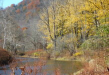 A time for melancholy? | The River Reporter