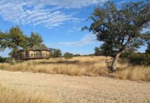 12 Southern Trips We Can’t Wait To Plan For Next Year