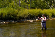 Video: The Only Two Casts You Need with a Two-Handed Rod