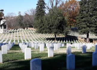 Ceremonies, lunch, fishing, respect on Veterans Day in Culpeper-area
