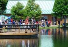 Fisheries Center to host Veterans Day event | News