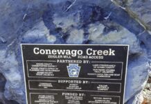 Cutting edges; other points to ponder | Sports