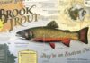 North Country Angling: Lessons from the past | Fishing