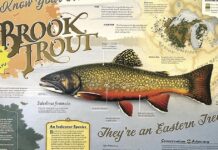 North Country Angling: Lessons from the past | Fishing