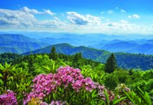 Explore the Eclectic Vibes of Asheville