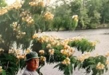 Veterans and Healing Waters – InDepthNH.orgInDepthNH.org