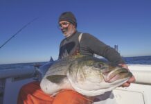 Podcast: Seasons of the Striper, with Bill Sisson