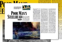 Fly Fishing for Fall-Run Rainbow Trout in Montana