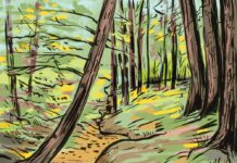 Our great outdoors: A look at 10 state parks located in the northwest portion of NM