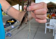Sarasota Bay Watch hauls fishing line from popular fishing sites