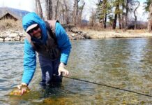 Pro Tips: 3 Simple Nymph Patterns for Tailwater Success