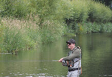 Podcast: Where Flies Come From, with Steve Carew