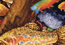 Book Review: Trout Town a fun romp