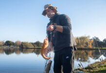 Things to do this weekend in San Joaquin County, Stockton