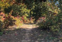 Coalition aims to increase veterans’ access to the outdoors