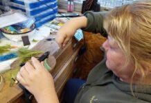 Nigel Duncan on fishing: Allandale Tarn winter closure period confirmed