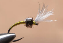Video: How to Tie the BWO Smoke Jumper
