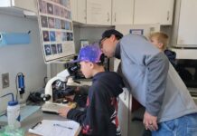 School news from West Grand School District Superintendent Liz Bauer