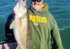 Chicago fishing, Midwest Report: Bluegill, crappie, walleye, sauger, steelhead, hoping on perch