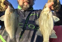 Chicago fishing, Midwest Fishing Report; Hints and hopes of lakefront perch & waiting on first ice