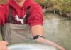A 13-year-old catches his first Atlantic salmon while spey fishing