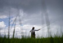 When and How to Do It