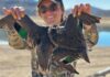 Affordable Duck Hunting Gear Sets That Actually Work