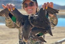 Affordable Duck Hunting Gear Sets That Actually Work