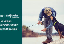 Orvis and Petfinder Foundation Partnership Raises $1M to Ensure That Every Dog Has a Home