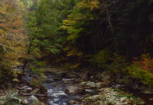 Wednesday Wake-Up Call 11.16.22 – Orvis News