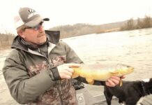 Classic Video: Kelly Galloup’s Streamer Secrets