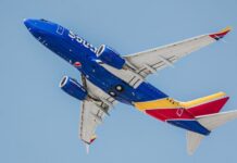 Everything You Need to Know