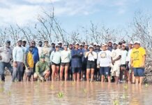 Project to plant 100,000 mangroves