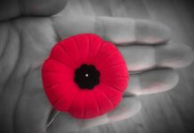 Aurora Legion hosting Remembrance dinner, parade, service